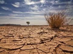 ປະກາດແຜນການດຳເນີນງານແຫ່ງຊາດກ່ຽວກັບການປ່ຽນແປງຂອງດິນຟ້າອາກາດ